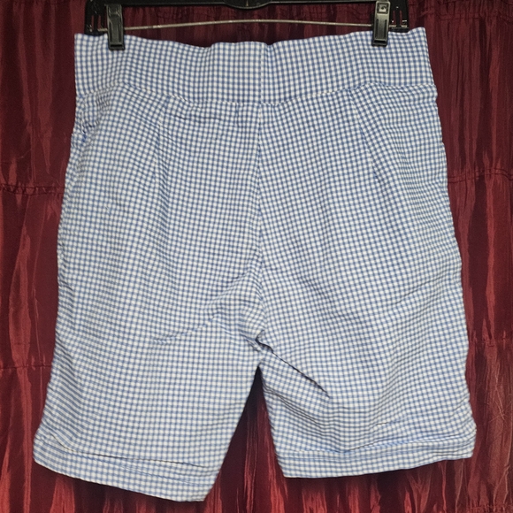 Tommy Hilfiger Blue Gingham Checkered Shorts - Picture 2 of 4